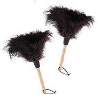 Midoneat Natural Black Ostrich Feather Duster,2 Packs,Car Duster Interior/Exterior Cleaner,Duster for Blinds Kitchen Keyboard Office, Smart and Soft and Fluffy Duster (Black)