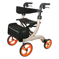 Rollators & Walkers Rolling Walkers Elderly Walker Folding Shopping Cart Walker Lightweight Old Man Shopping Rider Pushing Rehabilitation Workout Walker (Color : Silver, Size : 60x73x77cm)