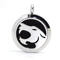 GIONO Stainless Steel Retriever Locket Aromatherapy Essential Oil Diffuser Pendant 30MM Perfume Aroma Necklace