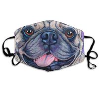 Soft Earloop Mouth Cover, Dustproof Pollenm Smog Mouth-Muffle with Adjustable Elastic Band - Windproof Pet Pug Dog Half Face Mouth Cover