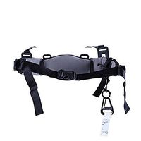 ProTeam Lower Harness ASM
