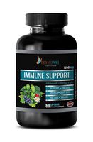 antioxidant Blend Supplement - Immune Support Advanced Complex 1550MG - graviola Extract Capsules - 1 Bottle 60 Capsules