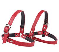 Women's Detachable Matte Shoe Strap, High Heels Anti-Loose Shoelace, Red