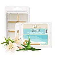 Aira Soy Tart - Organic, Vegan, Kosher, Scented Soy Wax Cubes w/Essential Oil Blends - No Chemical 100% Soy Wax Melts for Electric/Tealight Melters - Hand-Poured Soy Tarts - Tropical Seaside - 2 Pack