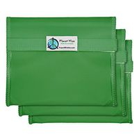 Planet Wise Reusable Tint Sandwich Bag - 3-Pack - Hook and Loop (Green)