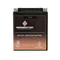 YB14A-A2 Sealed AGM ATV UTV Battery - 190CCA - Maintenance Free - High Performance - Replacement Rechargeable Motorcycle Battery