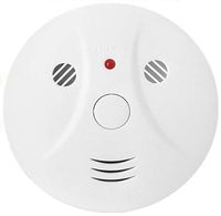 Combination Photoelectric Smoke and Carbon Monoxide Detector, Protect Your Home from Fire and Gas Leaks, Even When You're Away, 9V Battery Operated