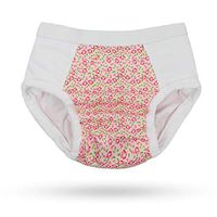 Protective Brief Adult Cloth Diaper for Mild to Severe Incontinence: Reusable Waterproof Underwear for Men & Women (Large, Rose)