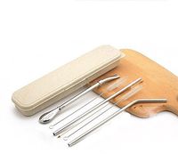 304 Stainless Steel Environmental Protection Drinking Straw, Separate Residue Filter Tea Heat Resistant Spoon Straw (B)