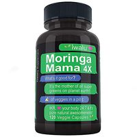 Moringa Capsules: 4x Strength 100% Pure Leaf Extract Moringa Powder Superfood Green Powder, 2400mg Daily Complete Green Superfood Powder Wellness Formula Capsules Vegan Whole Foods Vitamins Iron Pills