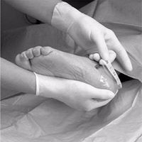 3M Hydrocolloid Dressing Tegaderm 4 X 4" Square Sterile (#90022, Sold Per Box)