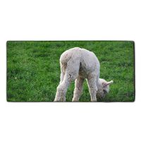 White Alpaca Baby Microfiber Cleaning Cloths | Best Towels For House-Hold Cleaning, Dusting, Scrubbing, Absorbing | size 11.8 X 27.5 Inches