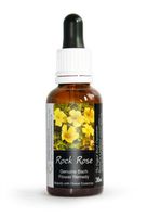 Rock Rose Bach Flower Remedy Large 30ml. Genuine Traditionally Made Essence