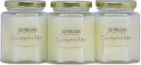 Just Makes Scents 3 Pack - Eucalyptus Mint Scented Candles | Fresh Spearmint and Relaxing Eucalyptus Fragrance | Hand Poured in The USA