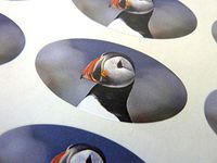 Minilabel Pack Of 48 Puffin, Seabird 40X20mm Oval Seal Labels, Stickers For Craft, Decoration, Gift Wrapping, Presents, Envelopes, Bags Or Cards