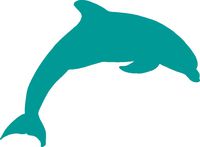 hBARSCI Dolphin Vinyl Decal - 5 Inches - for Cars, Trucks, Windows, Laptops, Tablets, Outdoor-Grade 2.5mil Thick Vinyl - Turquoise