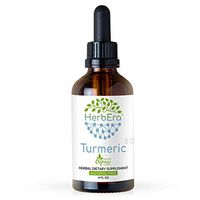 Turmeric B120 Alcohol-Free Herbal Extract Tincture, Organic Turmeric (Curcuma Longa) Dried Root (4 fl oz)
