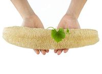 Large Whole Natural Loofah Vegetable Dish Scouring Pad for Kitchen Bath Sponge Body Exfoliating Scrubber Shower Lufa Loofa Luffa Cellulose Biodegradable Compostable Zero Waste Washer