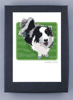 Border Collie Grrreen Box Notes