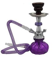 Purple Beatle vase Mini Hookah 1 Hose narguile Pipes Shisha Smoking idea Gift