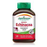 Echinacea
