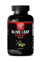 Energy Booster - Olive Leaf Extract Pills 500 Mg - Olive Leaf Bulk Supplements - 1 Bottle (60 Capsules)