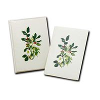 Earth Sky + Water - Hellebore & Holly Notecard Set - 8 Blank Cards with Envelopes