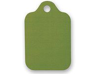 Classic Pine Green Wedding Birthday Gift Tags 3-3/4x2-3/8" -50pack