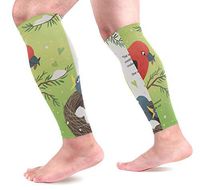 LEVEIS Red Crossbill Birds Kiss Arm Sleeves UV Protection for Men Women Sunblock Protective Gloves Running Golf Cycling Driving Long Arm Cover 1 Pair