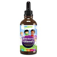 Organic Elderberry Syrup for Kids - Best Natural Kids Cold Medicine, Pure Elderberry Blend for Sickness Relief, 3X Stronger Vegan & Sugar-Free Formula to Strengthen Immune System & Avoid Getting Sick