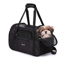 JESPET Soft Sided Pet Carrier Comfort for Airline Travel for Small Animals/Cats/Kitten/Puppy, Black, 17" x 9" x 11.5"
