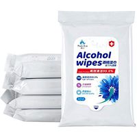 10pcs Wet Wipes Portable 75% Alcohol Wipes Disposable Skin Cleaning Care Tools