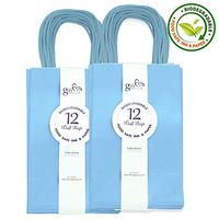 Gift Expressions Paper Gift Bags, 24 Count, Light Blue Kraft Paper Bags, 5.25” x 8.5” x 3.5", 100% Recycled, Thick & Durable Eco Friendly Paper Bags with Handles, Goodie Bags, Party Bags