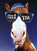 Avanti 10-Count Hanukkah Cards with Envelopes, Horse in a Yarmulke and Sunglasses