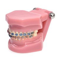 LXX Dental Typodont with Mental Brackets Orthodontic Teeth Model Adult Demonstration Teeth Teach Study Model