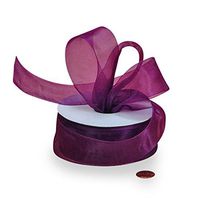 7/8" X 25 Yards Plum Shimmer Sheer Organza Ribbon