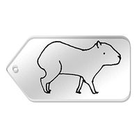 Azeeda 10 x Large 'Capybara' Clear Gift Tags (TG00024668)