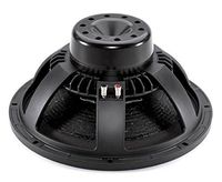 B&C 15NW100 15-Inch Woofer with Neo Magnet 4-Inch Coil
