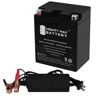 Mighty Max Battery YTX14AH Replaces Ariens 1332 Gravely Comm Riding Mower + 12V 2A Chrgr Brand Product