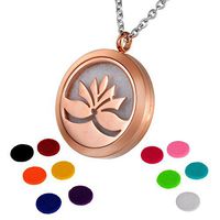 HOUSWEETY Aromatherapy Essential Oil Diffuser Necklace-Stainless Steel Locket Pendant,11 Refill Pads (Non-Engraving)