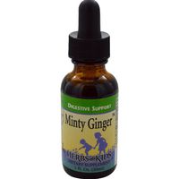 Herbs For Kids Minty Ginger -- 1 fl oz