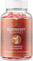 The Only Elderberry Gummies with Vitamin C, Propolis, Echinacea for Immune Support Supplement for Kids and Adults, Raspberry Flavored, 70 Chewable Gummy Vitamins
