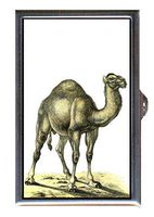 Camel Victorian Antique Color Naturalist Art Decorative Pill Box