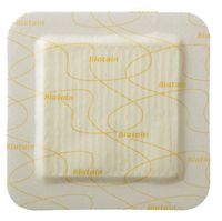 Coloplast Inc Biatain Silicone Foam Dressing 6" L x 6" W (Box of 5 Each)