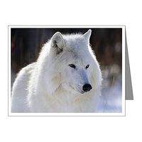 Note Card Arctic White Wolf
