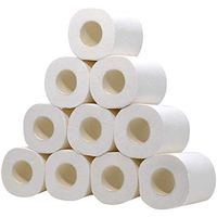TANGCISON Toilet Paper 4 Ply Silky & Smooth Soft Toilet Roll Paper White Toilet Tissue Hand Towels for Toilet-10 rolls