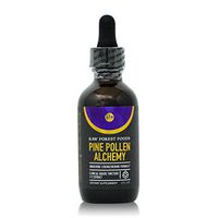 RAW Forest Foods - Pine Pollen Alchemy (2 Ounce) - Endocrine Strengthening Formula (ESF) with Pine Pollen, He Shou Wu, Astragalus Root, Stinging Nettle Root, Chinese Ginseng Root, Cordyceps Tincture