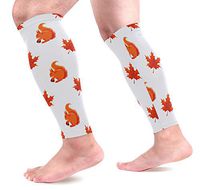 Anmarco Autumn Leaves Chipmunk Sports Calf Compression Sleeves Leg Compression Socks Calf Guard for Running, Cycling, Maternity, Travel, Nurses