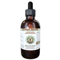 Ashwagandha Alcohol-Free Liquid Extract, Organic Ashwagandha (Withania Somnifera) Dried Root Glycerite 2x4 oz