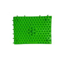 Acamifashion Acupressure Therapy Mat Reflexology Blood Circulation Simulator Foot Massage Pad - Green